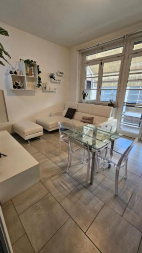 Elegant and modern apartment near the Metro, Hospitals, Lingotto Conference Centre and Valentino's Park